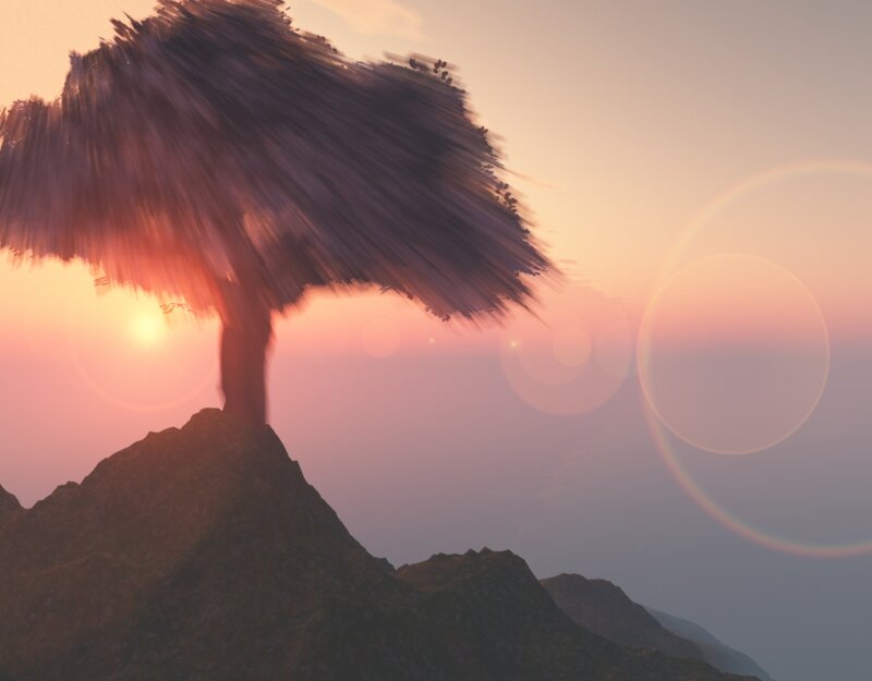 Tree on Mountain Peak