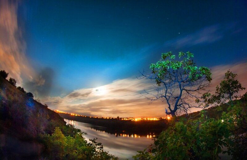Tree on Riverbank at Night
