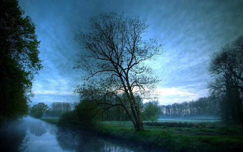 Tree on Riverbank — Blue, Serene