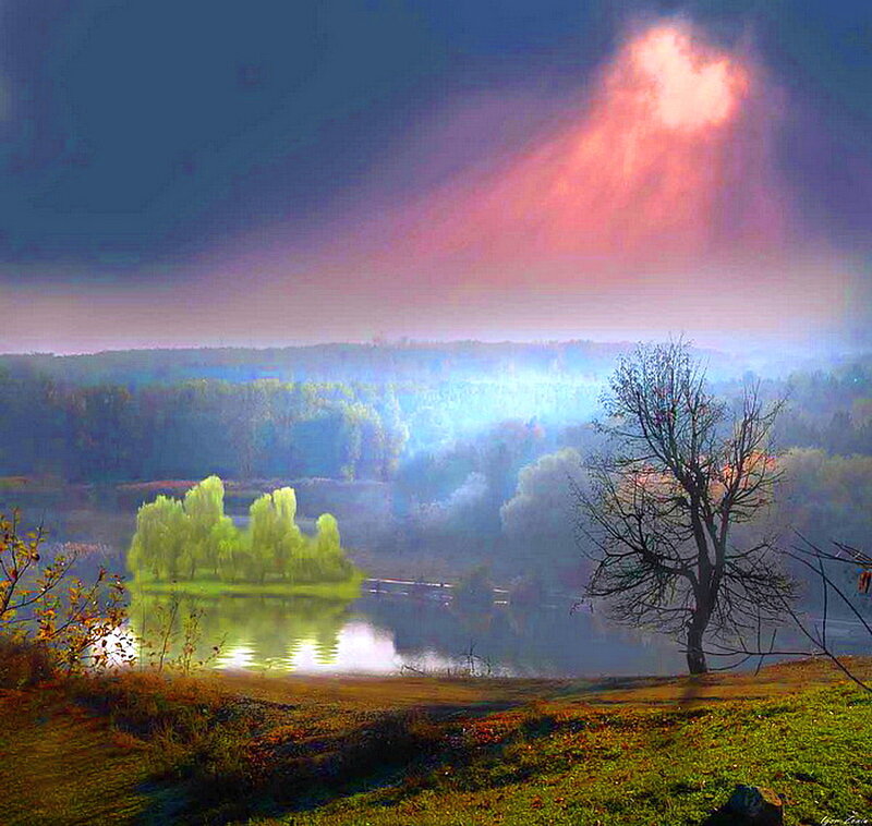 Tree on Riverbank — Blue