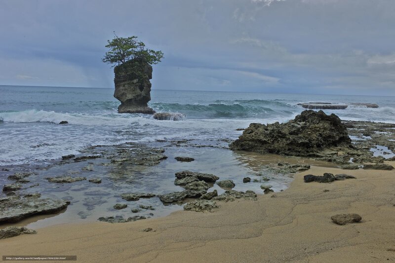 Tree on Rock Formation — Blue, Dramatic