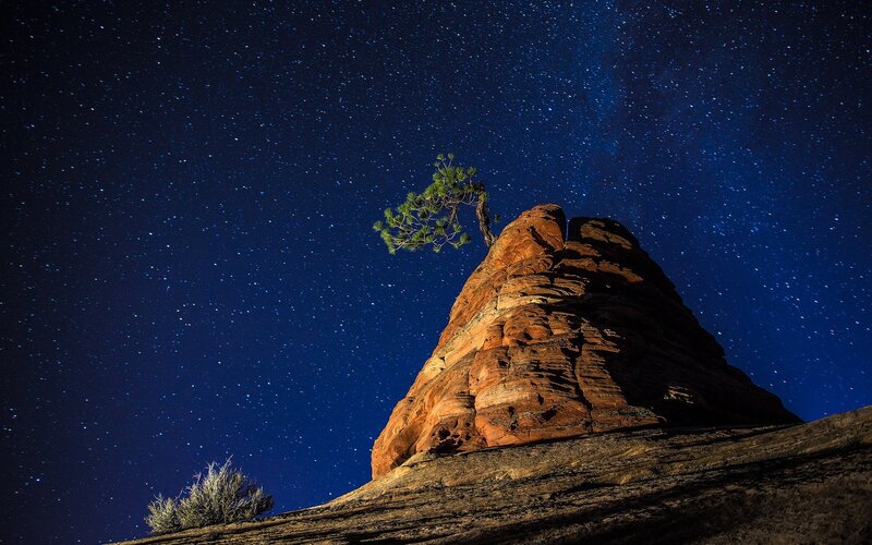 Tree on Rock Formation — Blue, Serene, Night