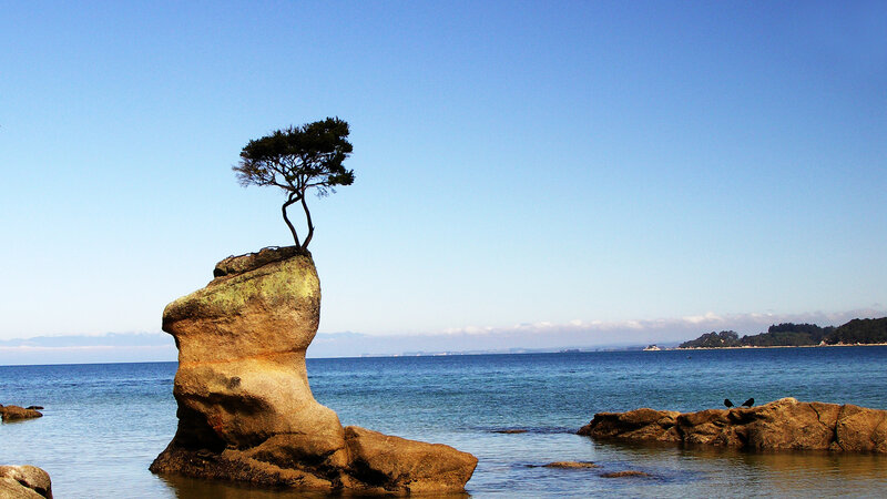 Tree on Rock Formation — Blue