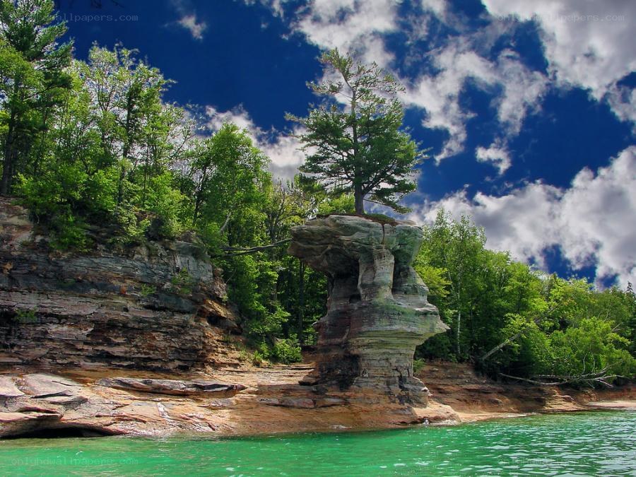 Tree on rock formation by lake
