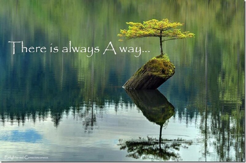 Tree on Rock in Lake — Green, Serene