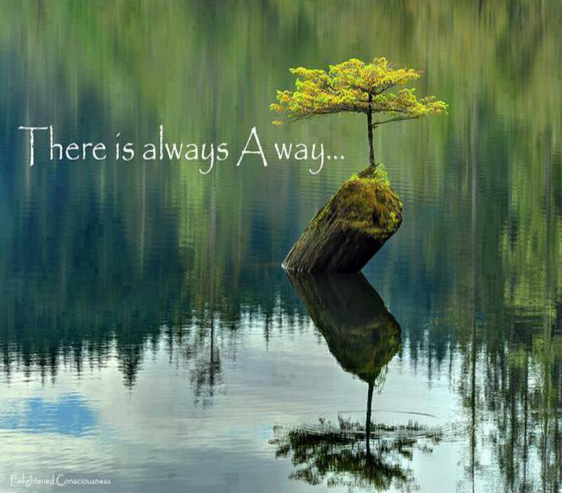 Tree on Rock in Lake — Green