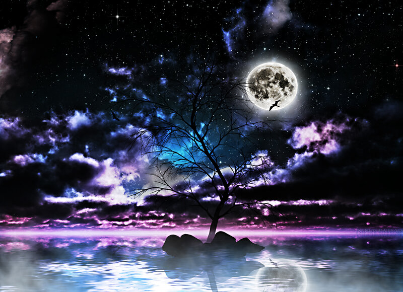 Tree on Rock in Water