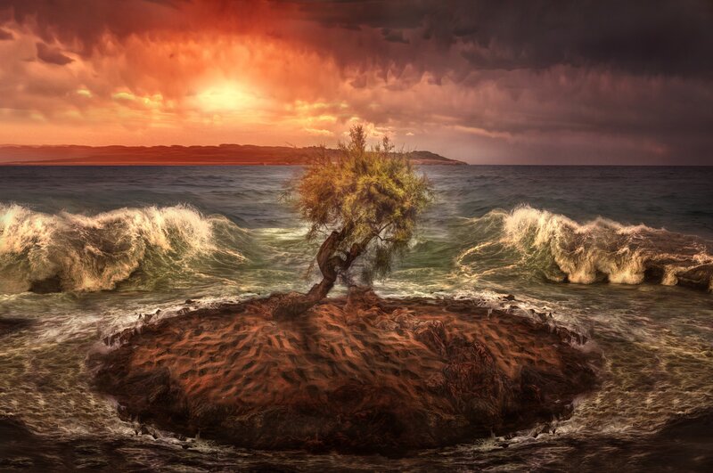 Tree on Rock Island — Orange