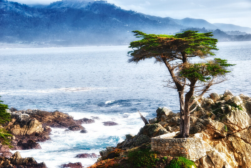 Tree on Rocky Cliff — Blue, Serene, Afternoon