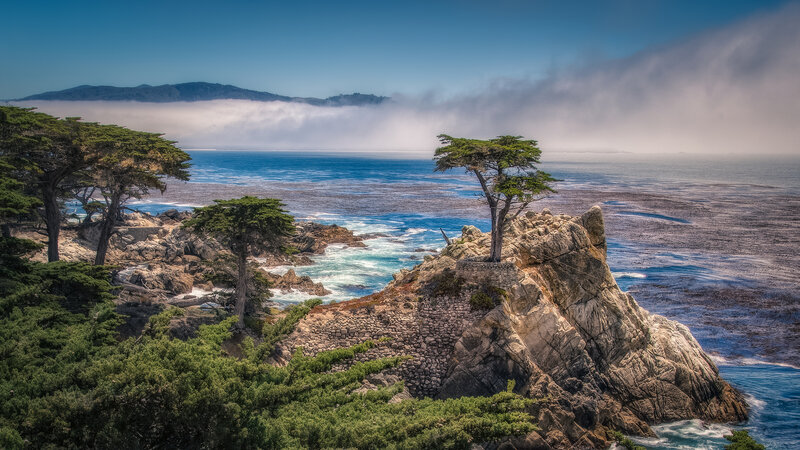 Tree on Rocky Cliff — Blue, Serene, Morning
