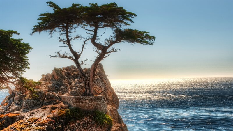 Tree on Rocky Cliff — Blue, Serene, Sunset