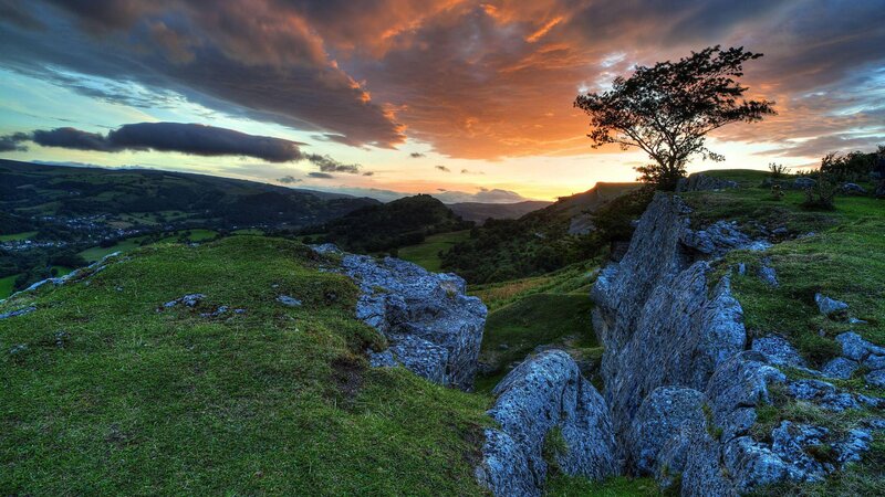 Tree on Rocky Hill — Green