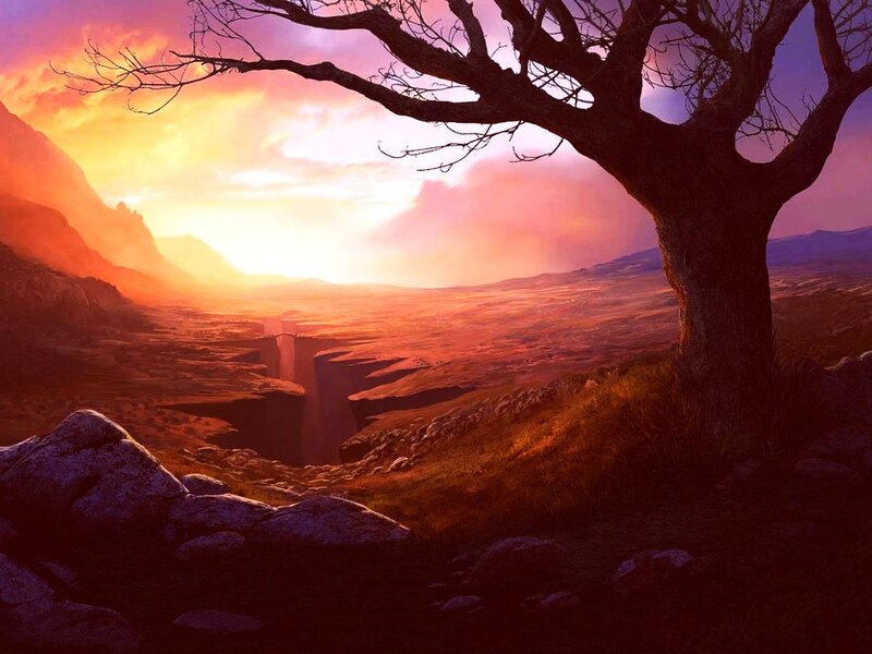 Tree on Rocky Hillside — Orange