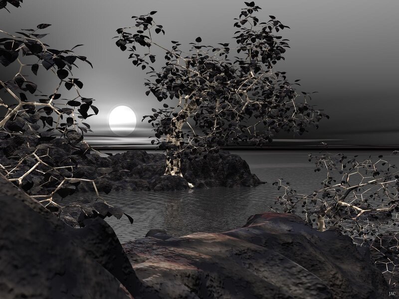 Tree on Rocky Island — Black, Serene