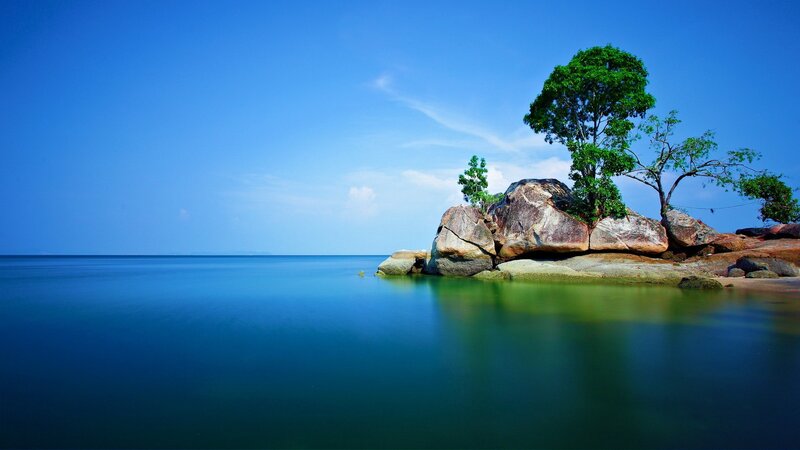 Tree on Rocky Island — Blue, Serene, Afternoon