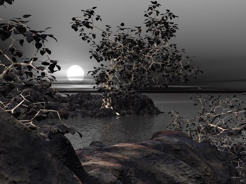 Tree on Rocky Island — Gray