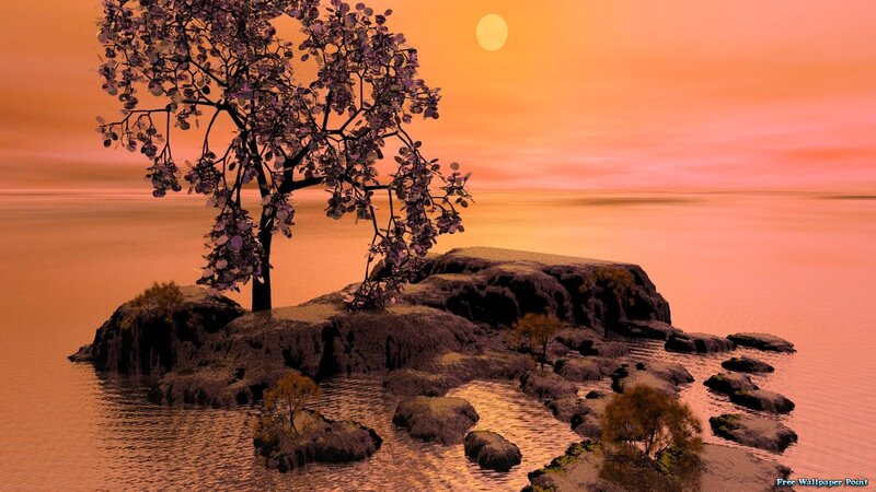Tree on Rocky Island — Orange