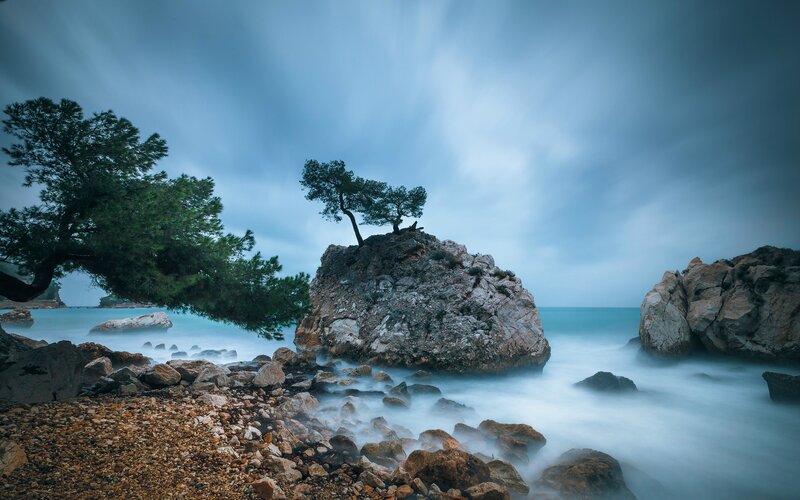 Tree on Rocky Outcrop — Blue, Serene