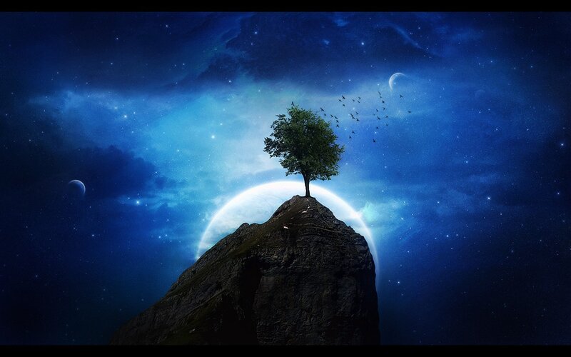 Tree on Rocky Peak — Blue