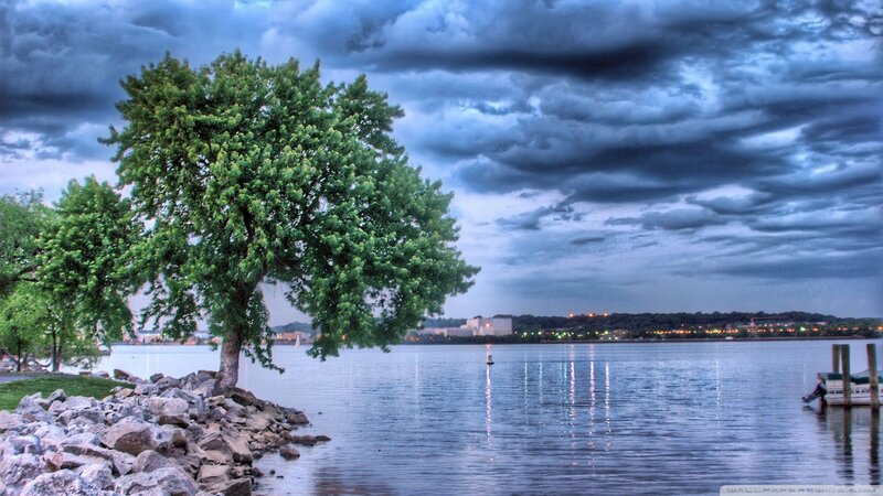 Tree on Rocky Shore — Blue, Dramatic, Night
