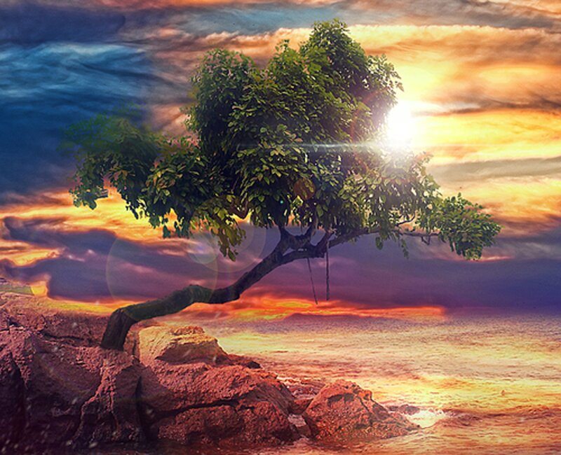 Tree on Rocky Shore — Orange, Dramatic, Sunset, Digital Art, Sea