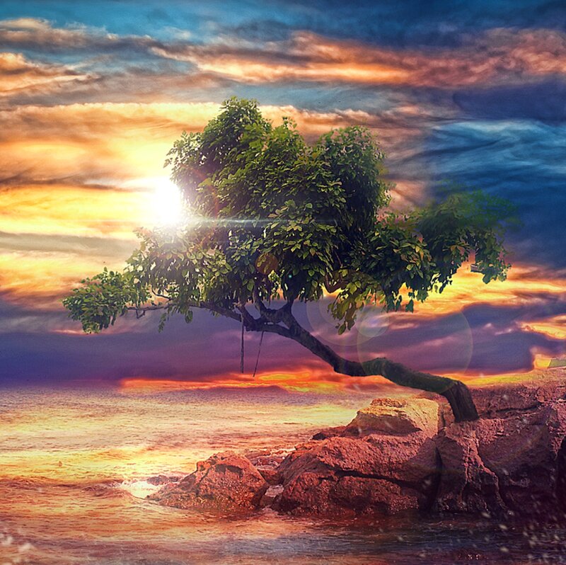 Tree on Rocky Shore — Orange, Dramatic, Sunset, Digital Art, Sun