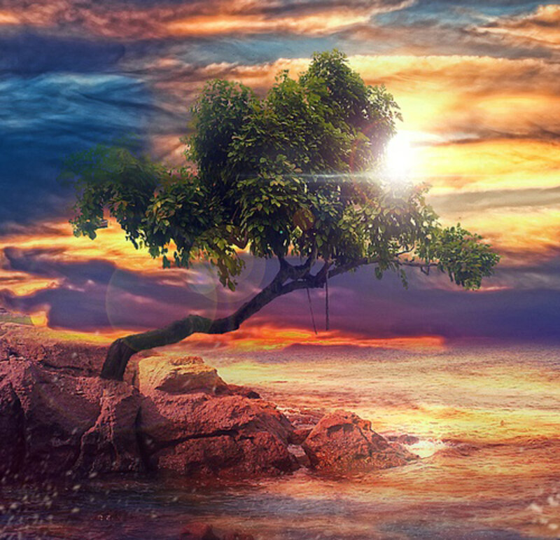 Tree on Rocky Shore — Orange, Dramatic