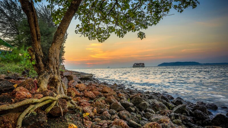 Tree on Rocky Shore — Orange, Serene, Sunset
