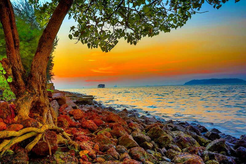 Tree on Rocky Shore — Orange, Serene