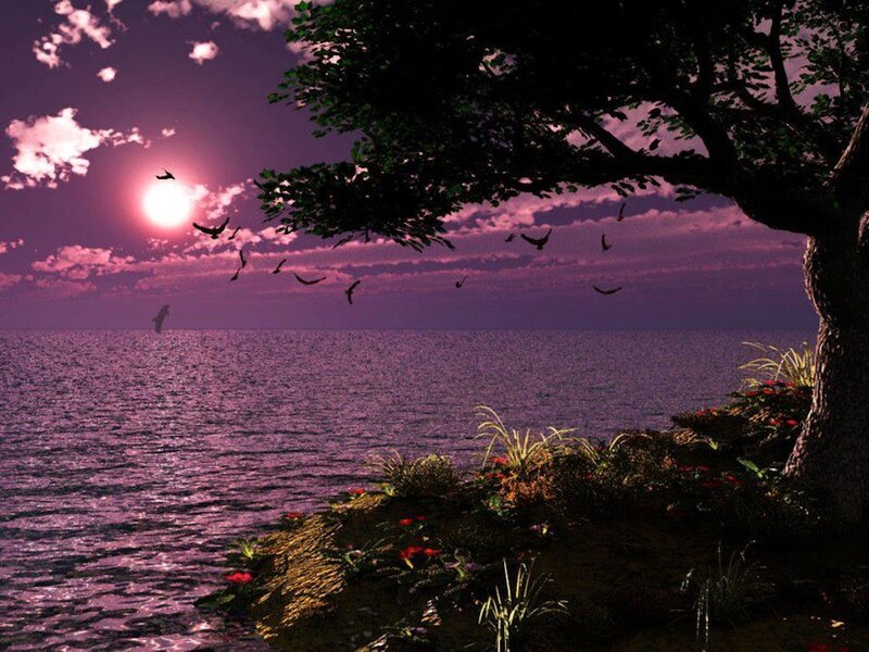 Tree on Rocky Shore — Purple, Serene