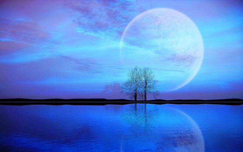 Tree on Shore at Night — Blue
