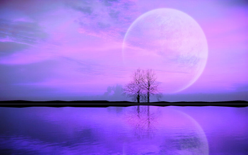 Tree on Shore at Night
