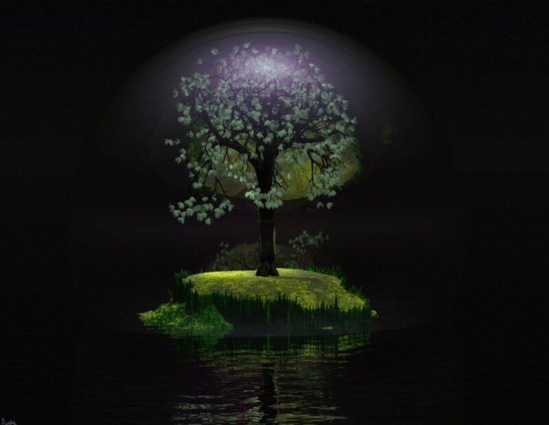 Tree on Small Island — Black, Serene