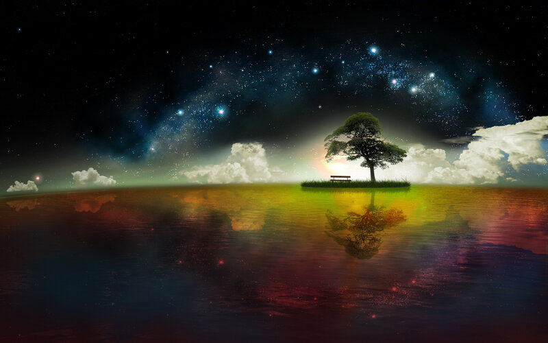 Tree on Small Island — Black