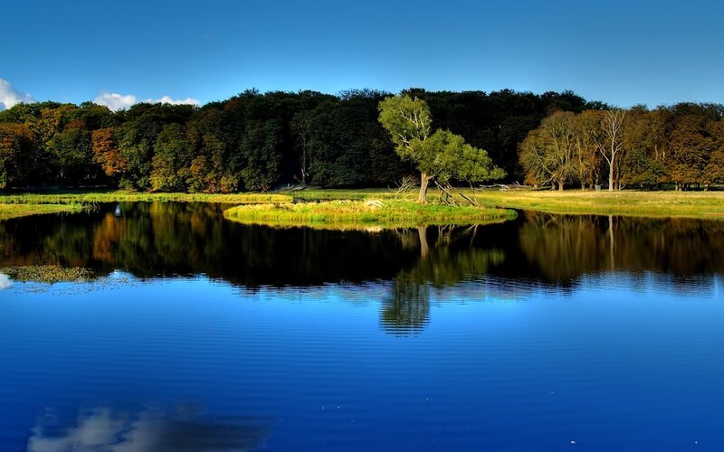 Tree on Small Island — Blue, Serene, Afternoon, Photograph, Lake, Forest, Sky