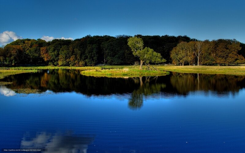 Tree on Small Island — Blue, Serene, Afternoon, Photograph, Lake