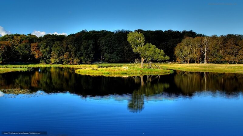 Tree on Small Island — Blue, Serene, Afternoon, Photograph