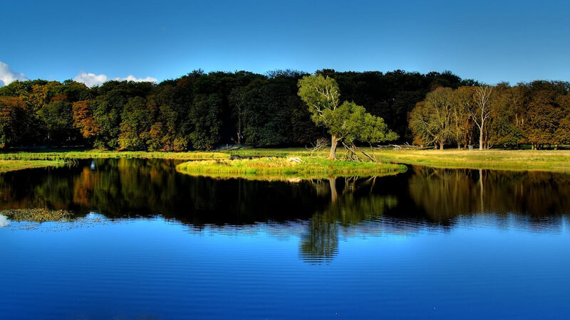 Tree on Small Island — Blue, Serene, Afternoon