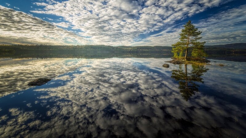 Tree on Small Island — Blue, Serene, Morning