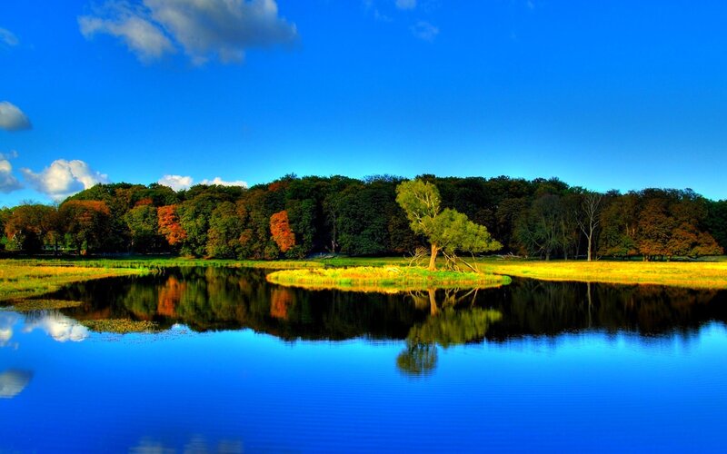 Tree on Small Island — Blue