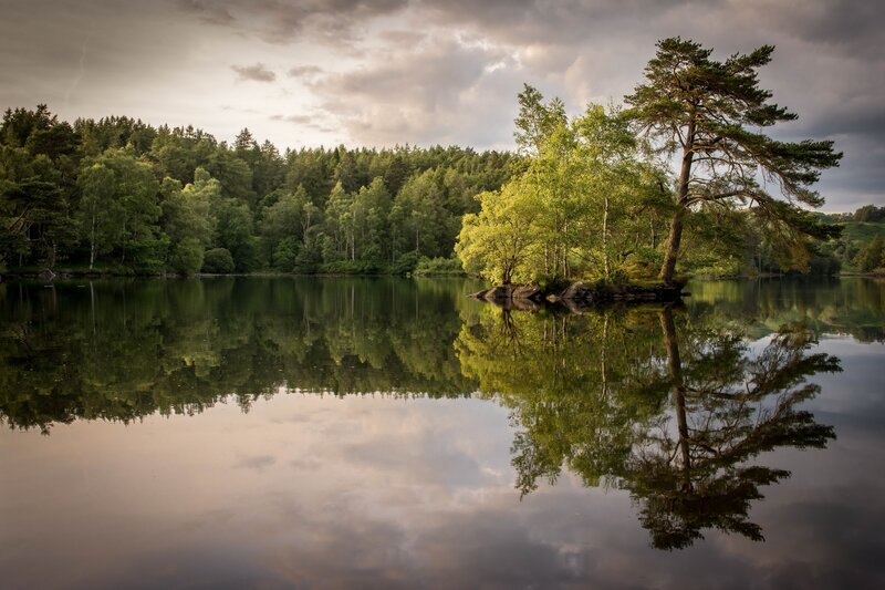 Tree on Small Island — Green, Serene, Afternoon