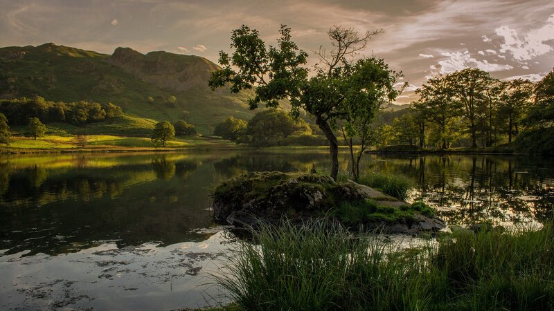 Tree on Small Island — Green, Serene, Sunset
