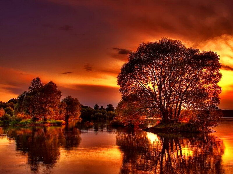 Tree on Small Island — Orange, Dramatic