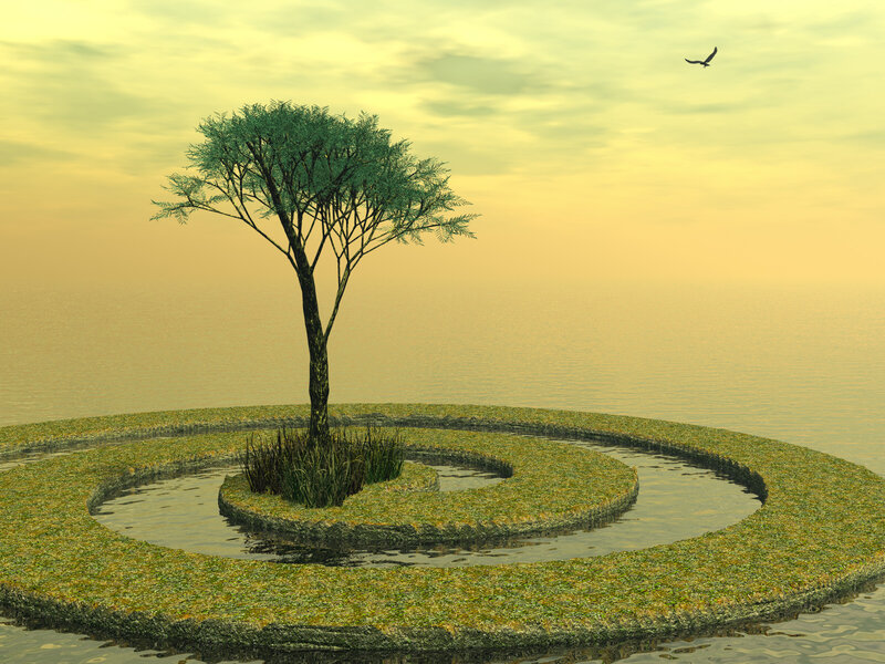 Tree on Spiral Island