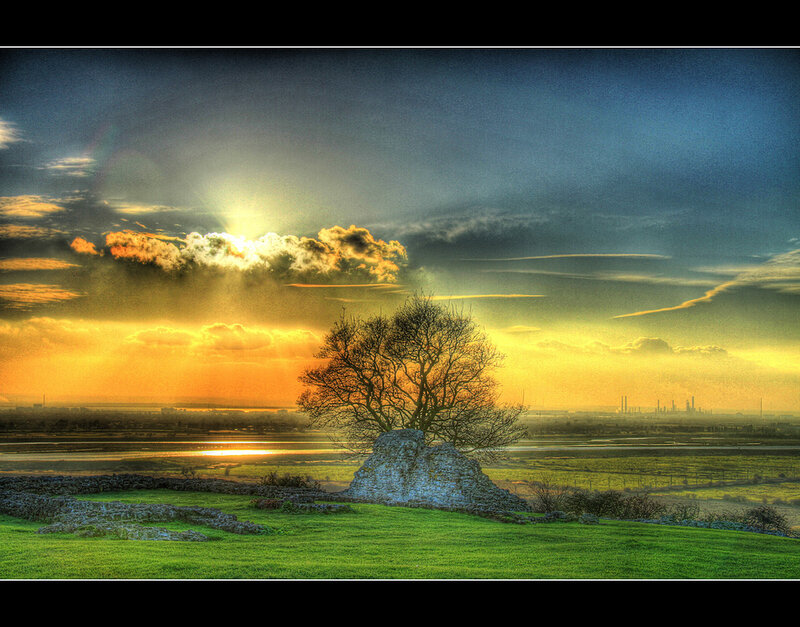 Tree on Stone Mound