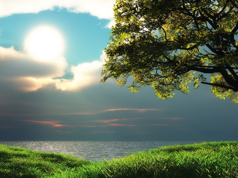 Tree over Grassy Shore — Green