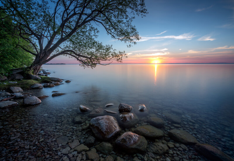 Tree over Lake at Sunset — Blue, Serene