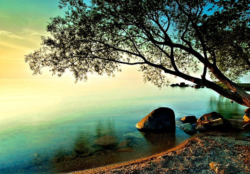 Tree over Lake at Sunset — Blue
