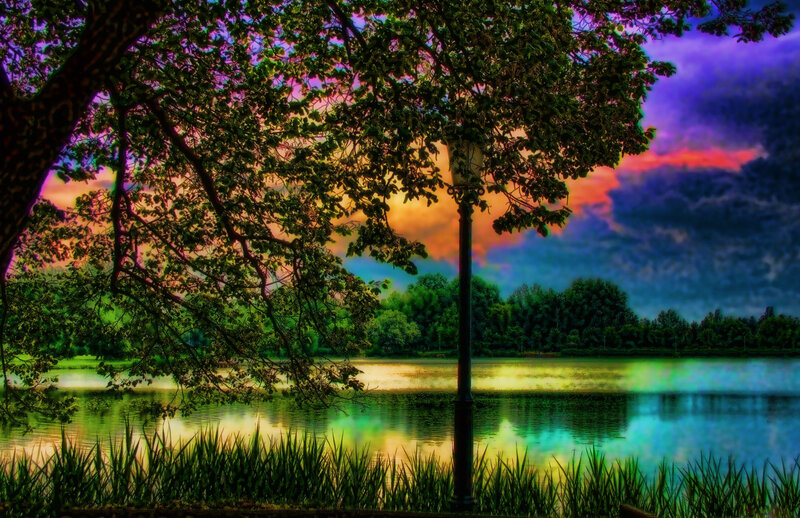 Tree over Lake at Sunset — Green, Dramatic