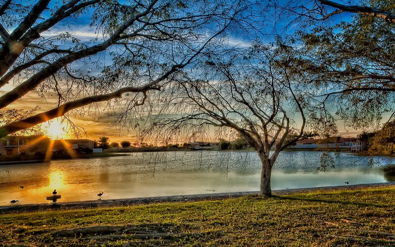 Tree over Lake at Sunset